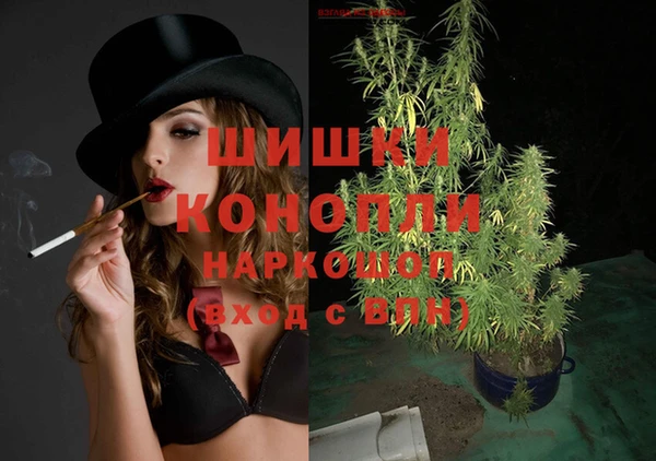 таблы Ельня