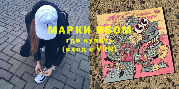 дмт Елизово