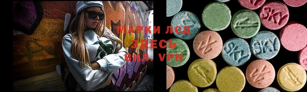 дмт Елизово