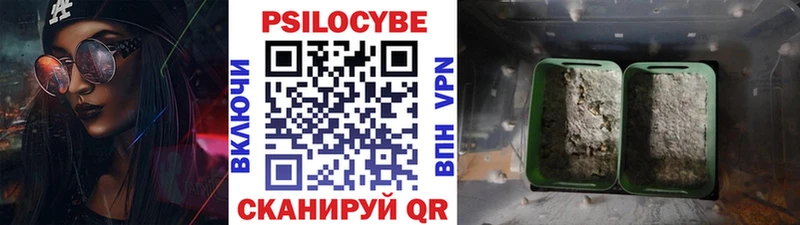 Купить где  Мамоново  Галлюциногенные грибы мухоморы 